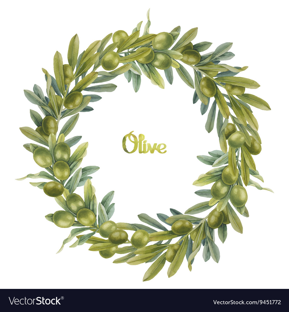 Венок из оливы. Оливковый венок купить. Венки из оливы. Венок из оливы. Венок оливы.