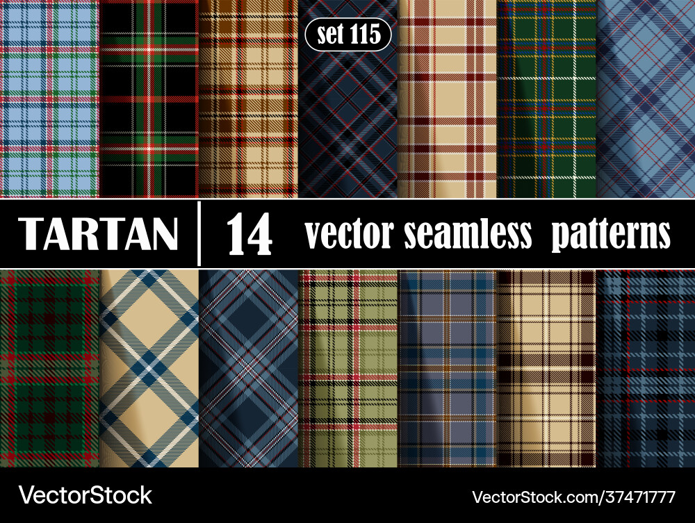 Set tartan seamless pattern Royalty Free Vector Image