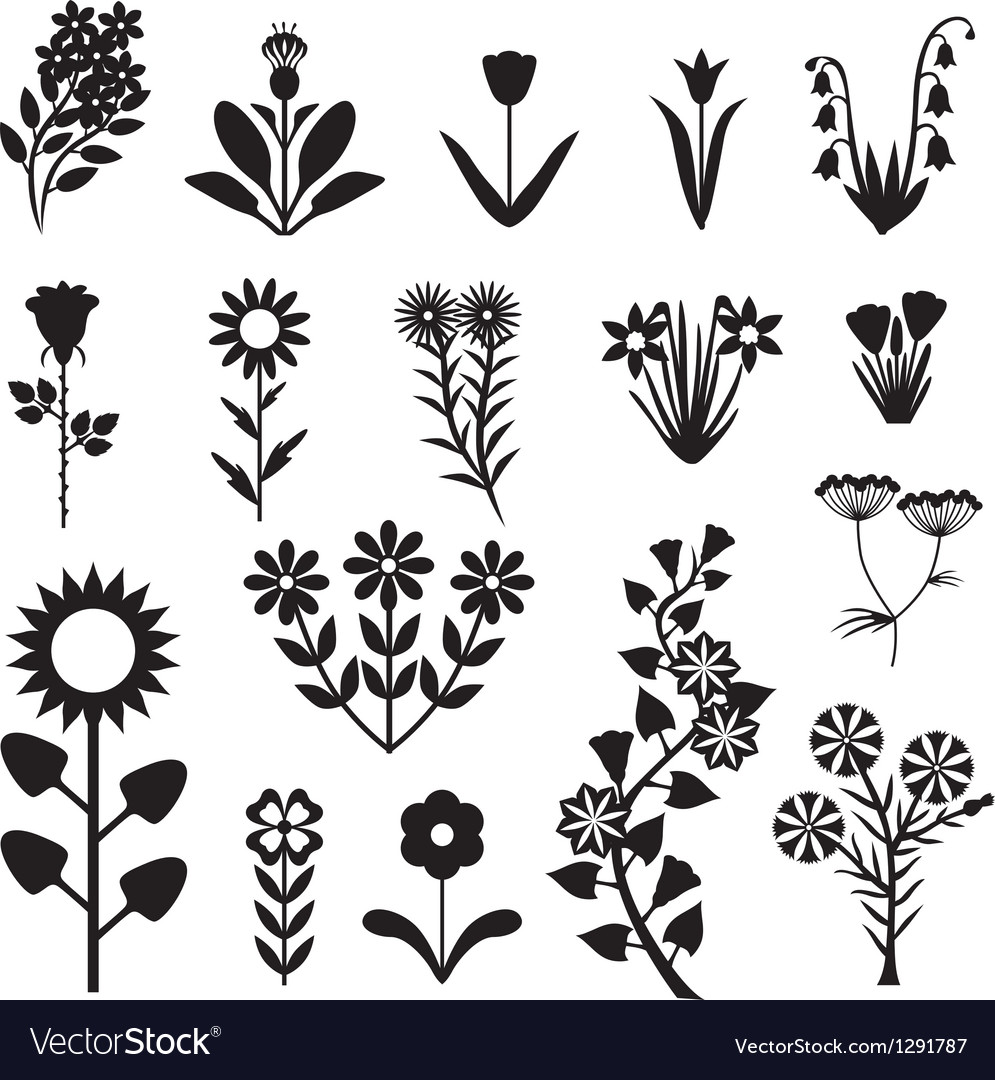 Flower set black Royalty Free Vector Image - VectorStock