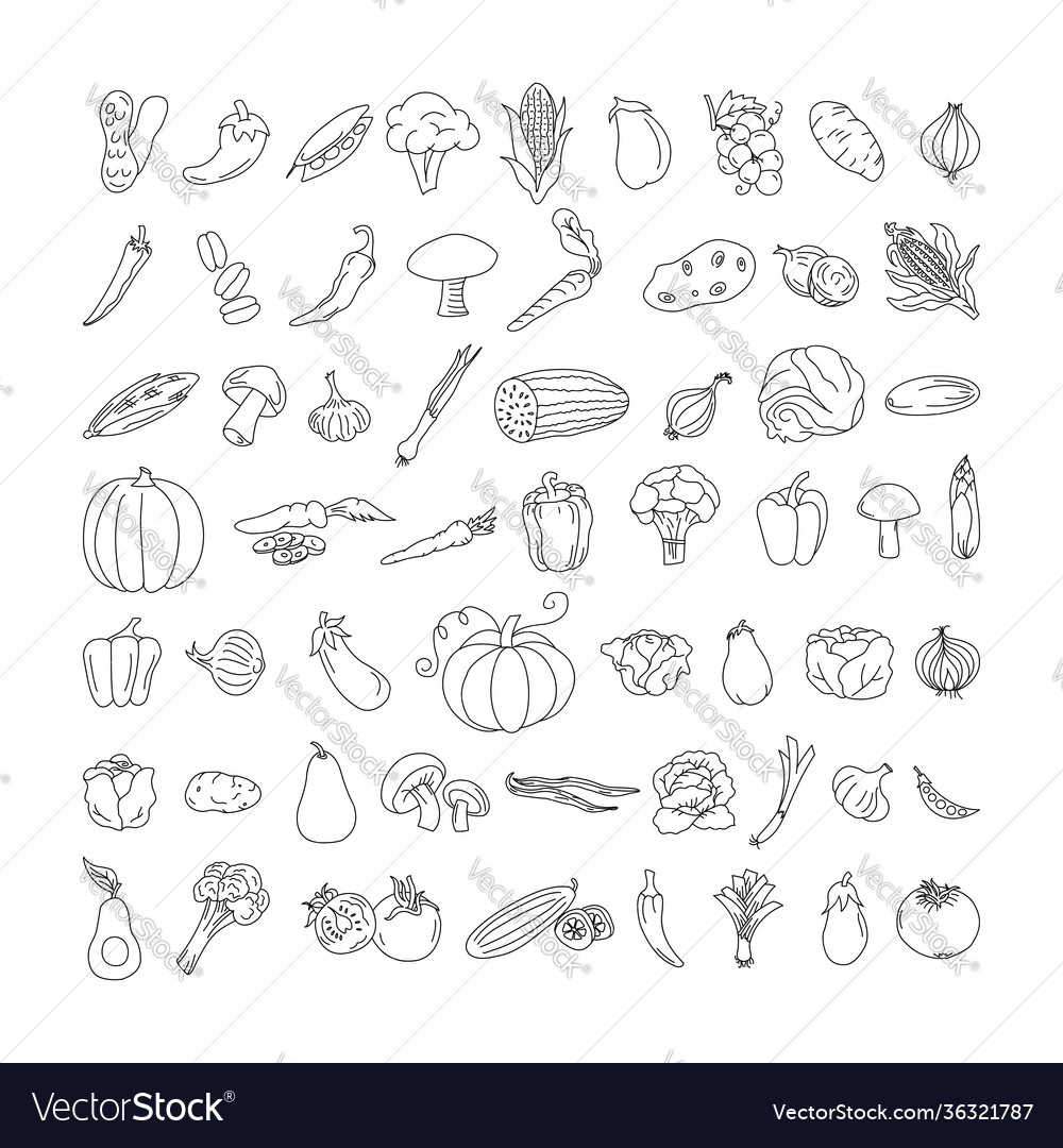 Vegetable element doodle line set freehand Vector Image