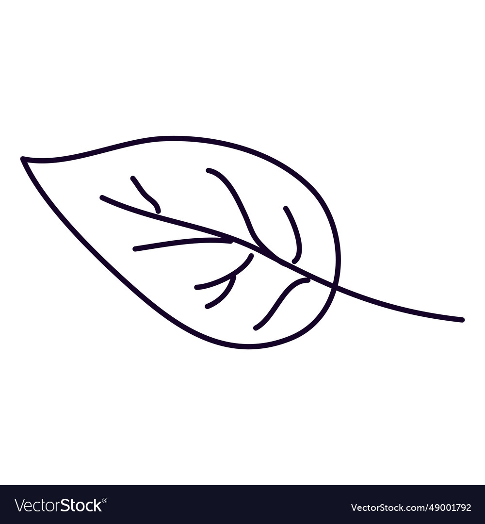 Small leaf doodle Royalty Free Vector Image - VectorStock