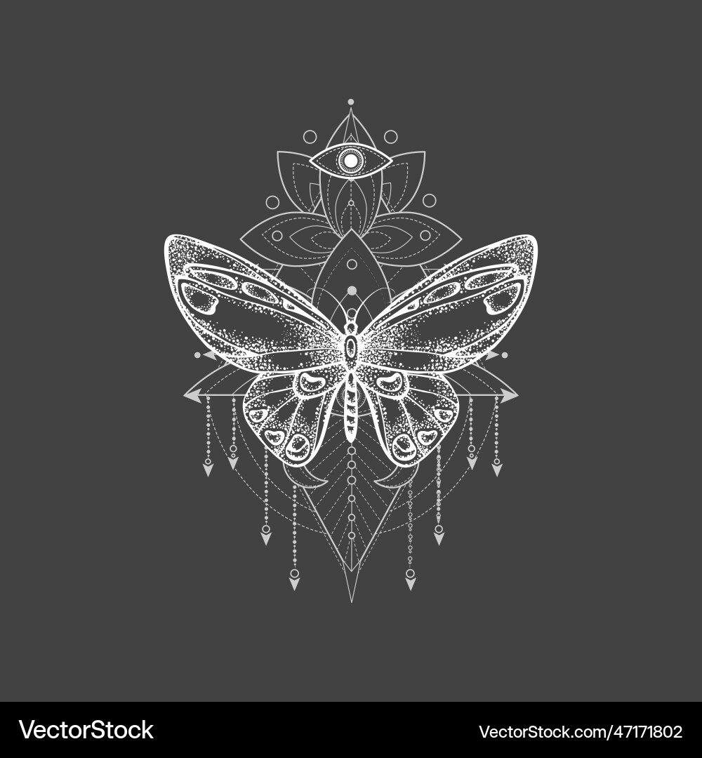 Butterfly Royalty Free Vector Image - VectorStock