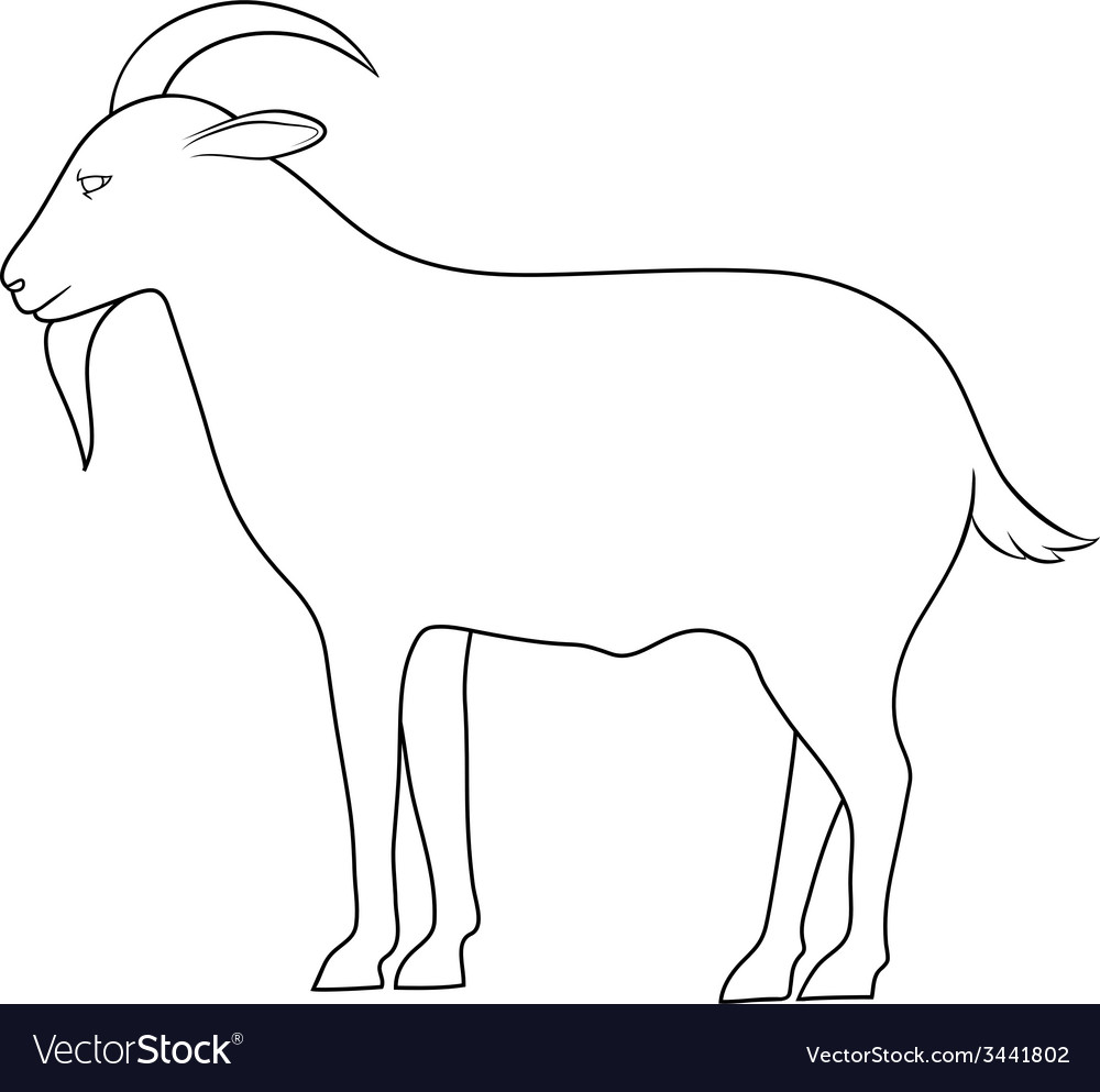 Silhouette of goat