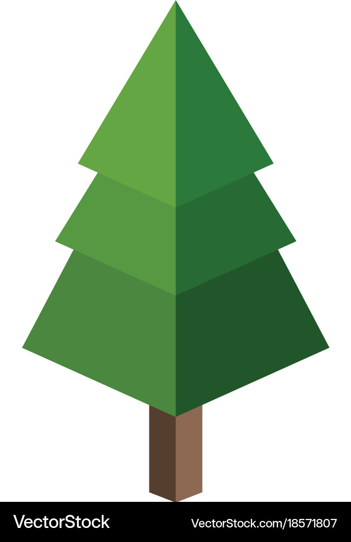 Isolated pine tree design Royalty Free Vector Image