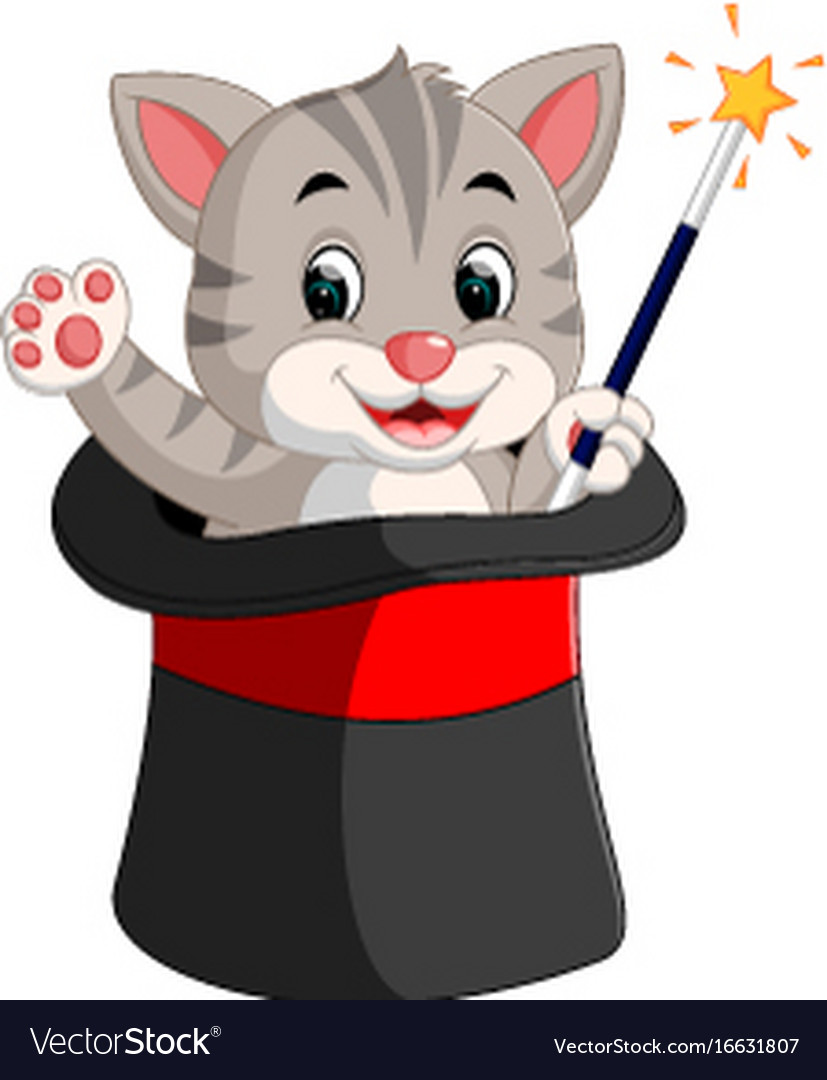 kitten in a magician
