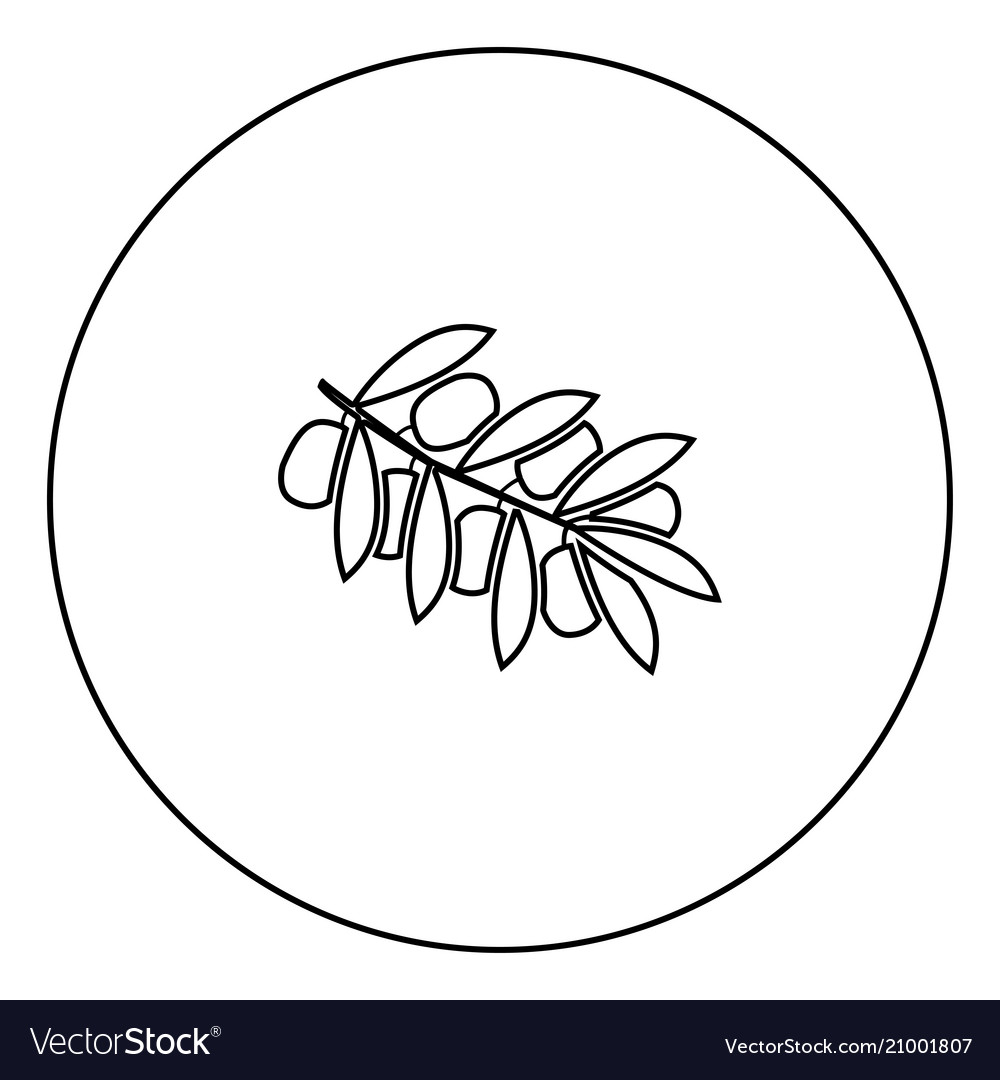 olive branch black icon in circle outline vector image circle outline