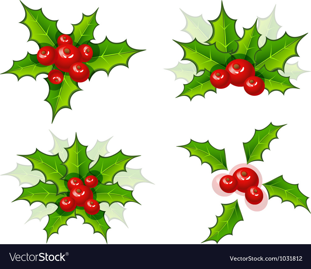 Holly leaves