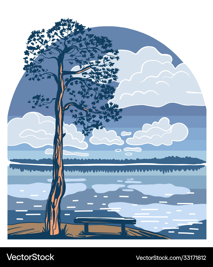Nature a pine tree Royalty Free Vector Image - VectorStock