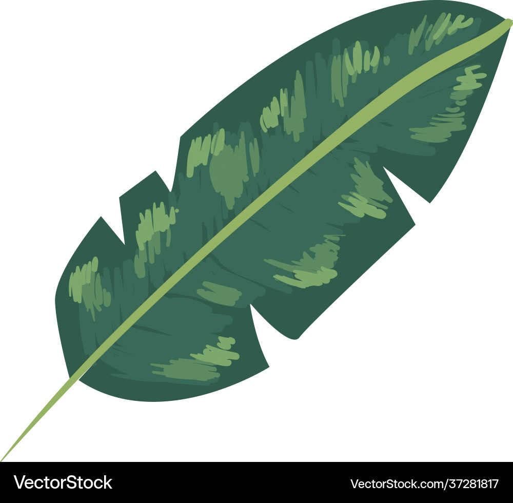 Palm leaf icon Royalty Free Vector Image - VectorStock