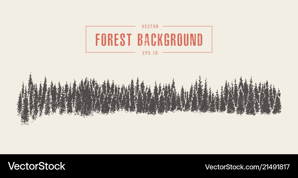 Pine forest background drawn sketch Royalty Free Vector
