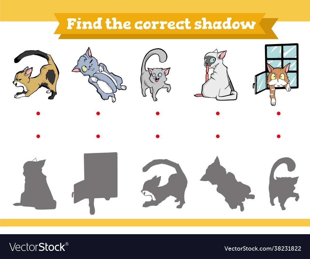 Find correct shadow educational game Royalty Free Vector