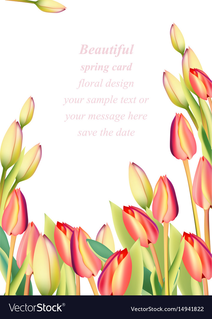 Red tulip flowers spring season invitation Vector Image