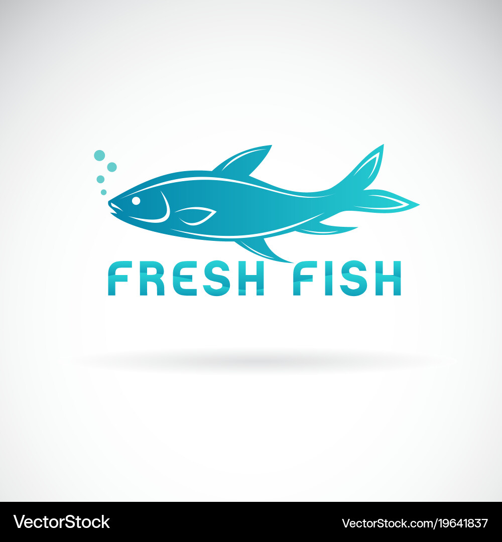 Fish design on a white background aquatic Vector Image