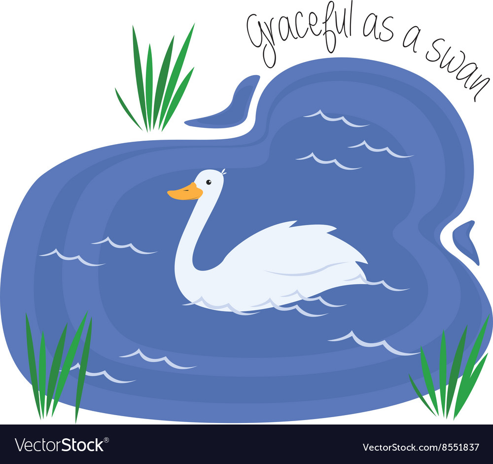 Graceful as swan Royalty Free Vector Image VectorStock