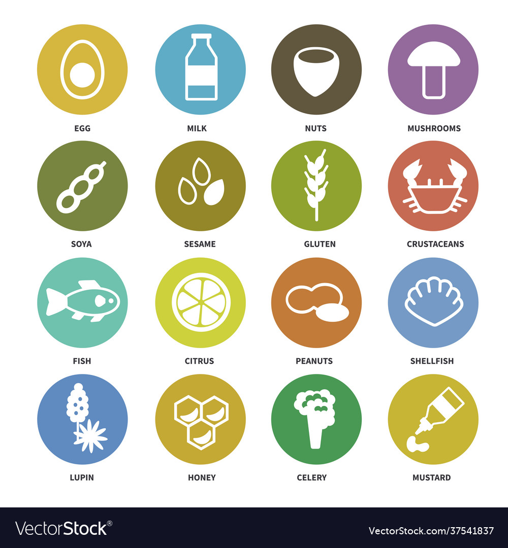 Large set icons with main allergens in food Vector Image