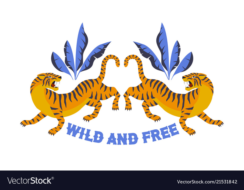 uses of tiger