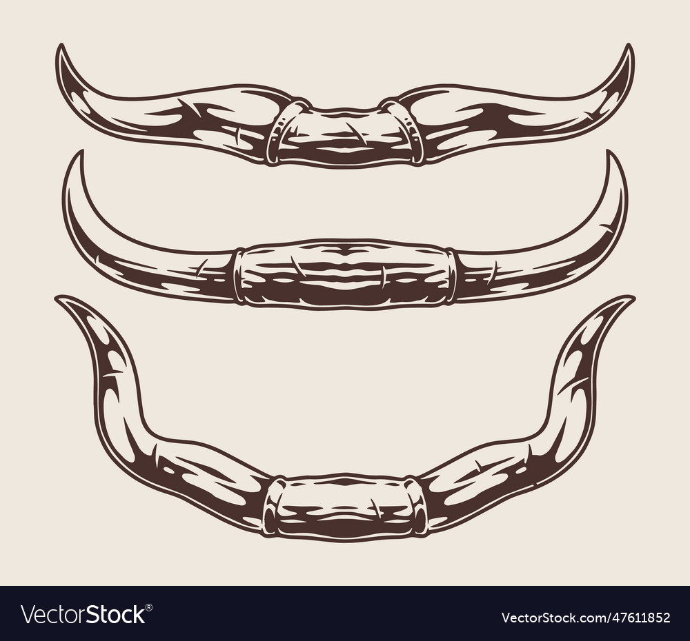 Bull horns set emblem monochrome Royalty Free Vector Image