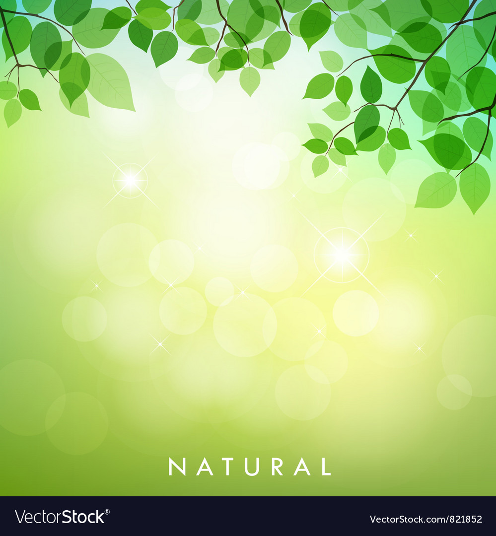 Green Leaf Natural Background Royalty Free Vector Image