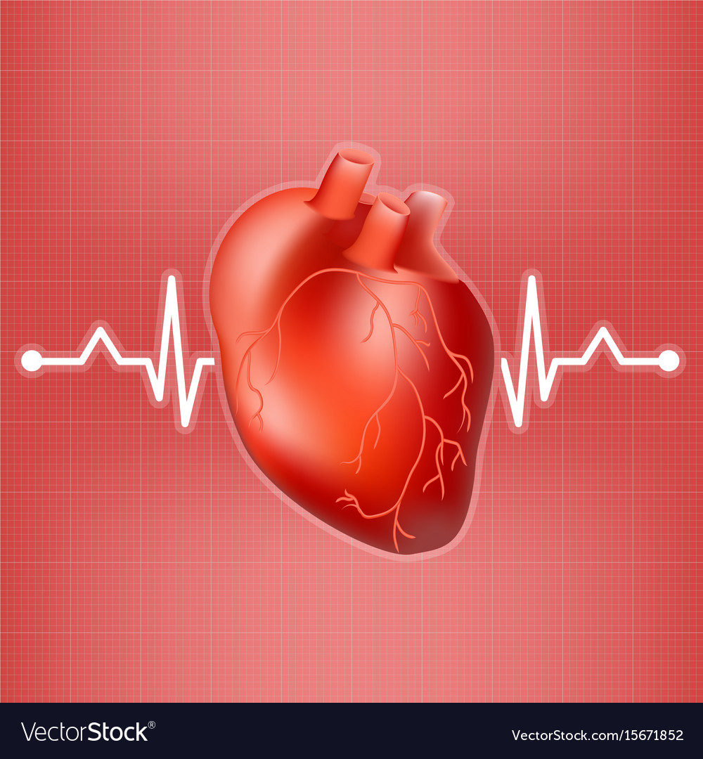 average-heart-rate-what-it-should-be-and-how-to-measure-it