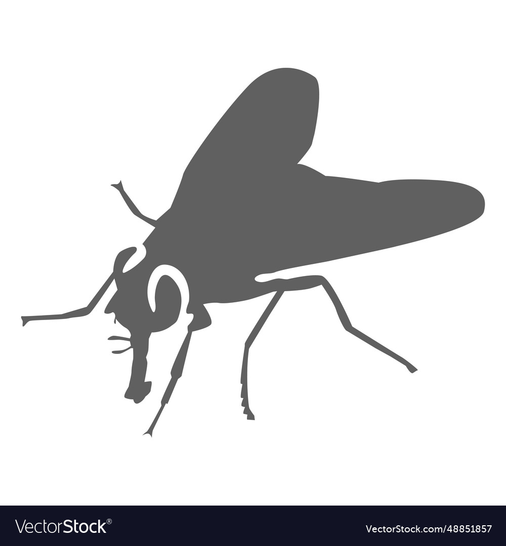 No fly 2 Royalty Free Vector Image - VectorStock