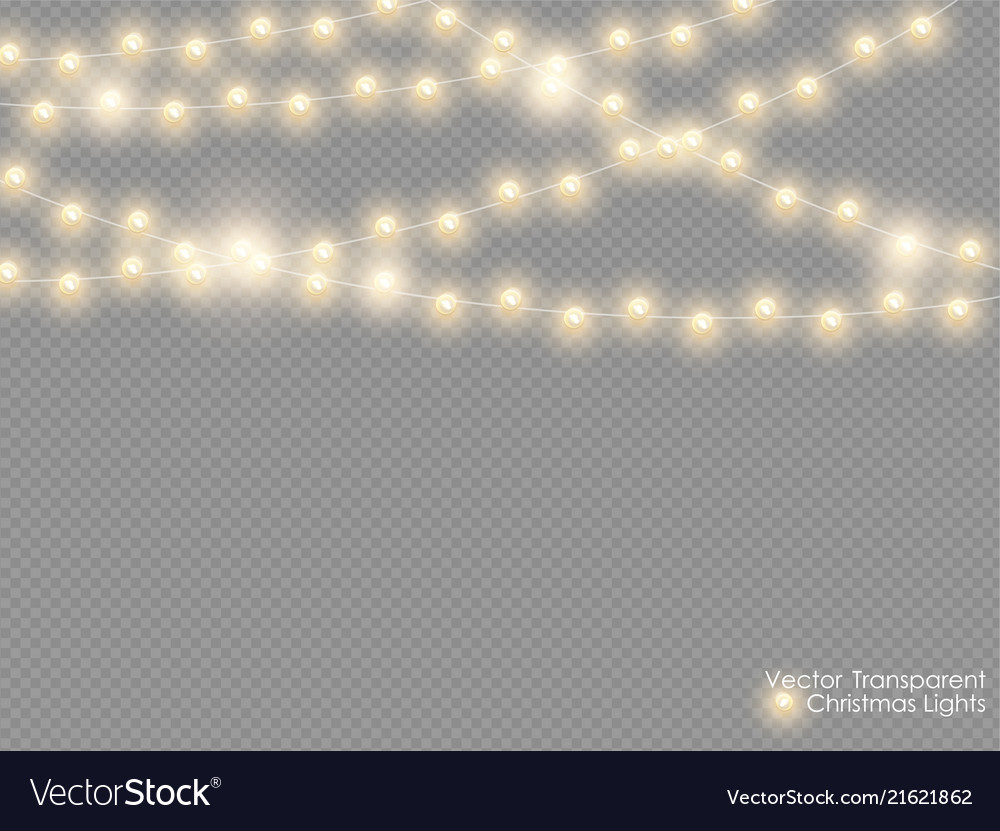 Christmas Lights Isolated On Transparent Vector Image