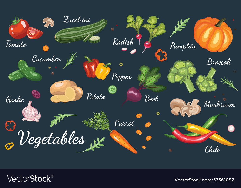 Vegetables set hand drawing Royalty Free Vector Image