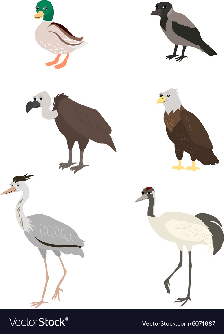 cartoon set duck crow
