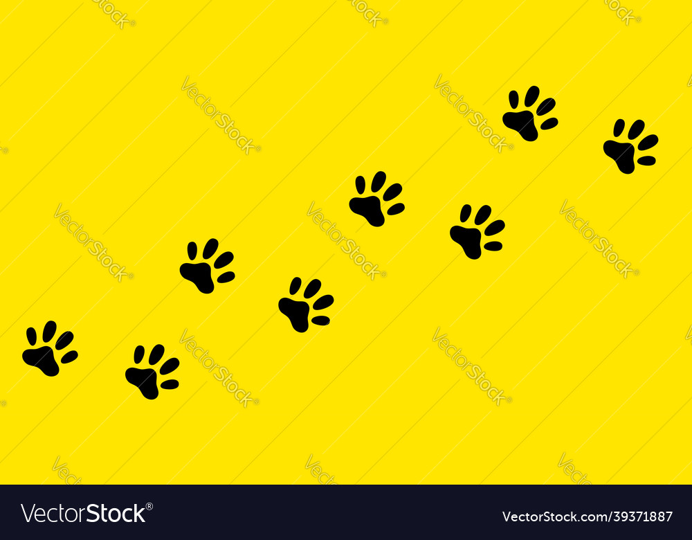 Cat dog paw foot print track diagonal footpath Vector Image