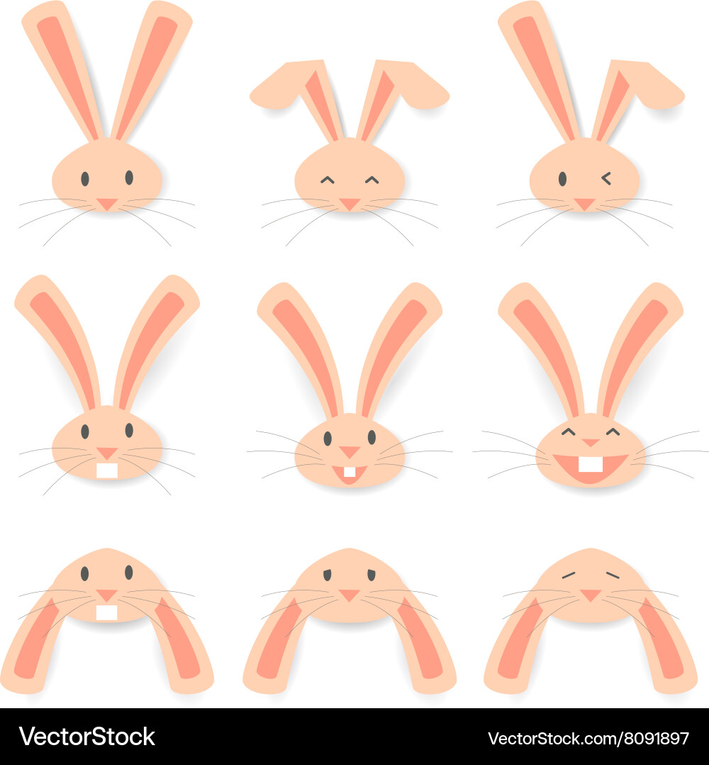 Face rabbit Royalty Free Vector Image - VectorStock