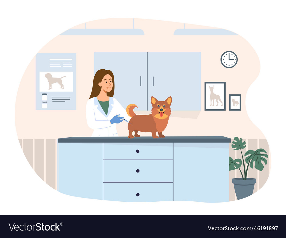 Vaccination of animals Royalty Free Vector Image