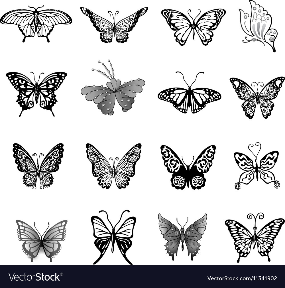 Black butterfly logo set Royalty Free Vector Image