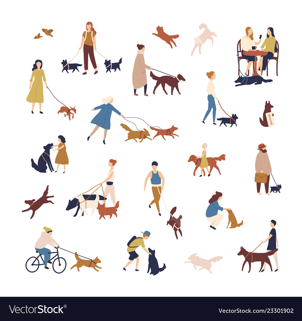 Crowd tiny people walking their dogs on street Vector Image