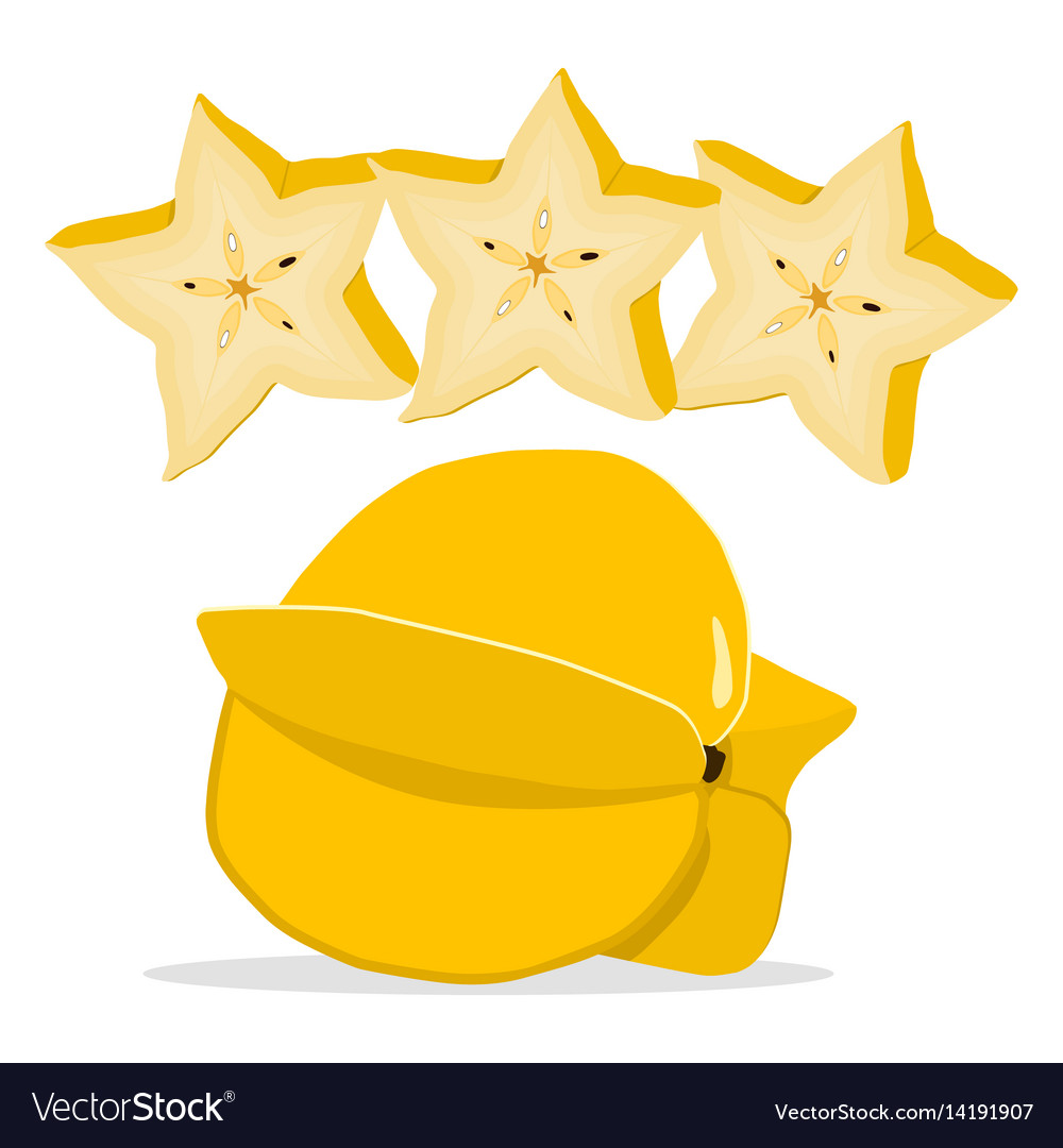 the carambola royalty free vector image vectorstock