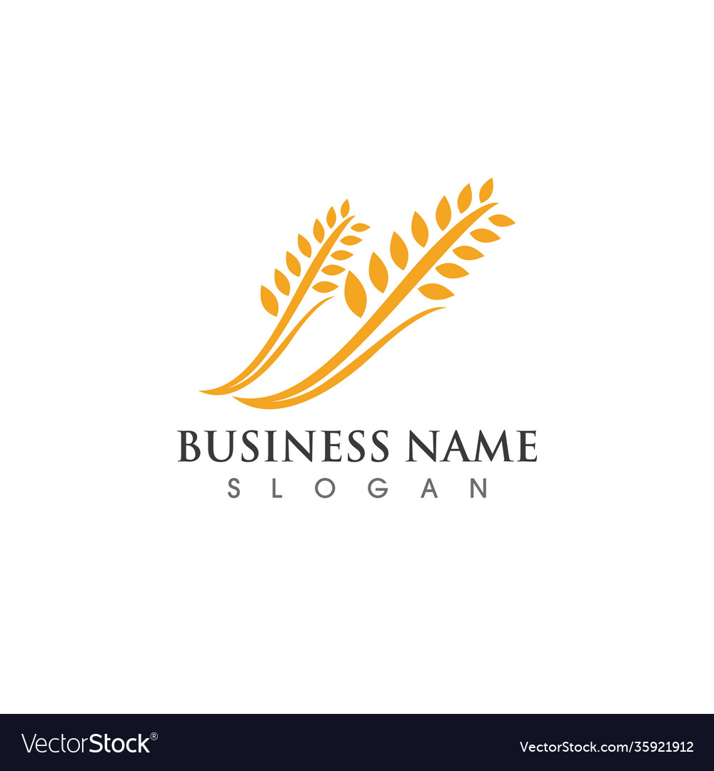 Agriculture wheat Royalty Free Vector Image - VectorStock