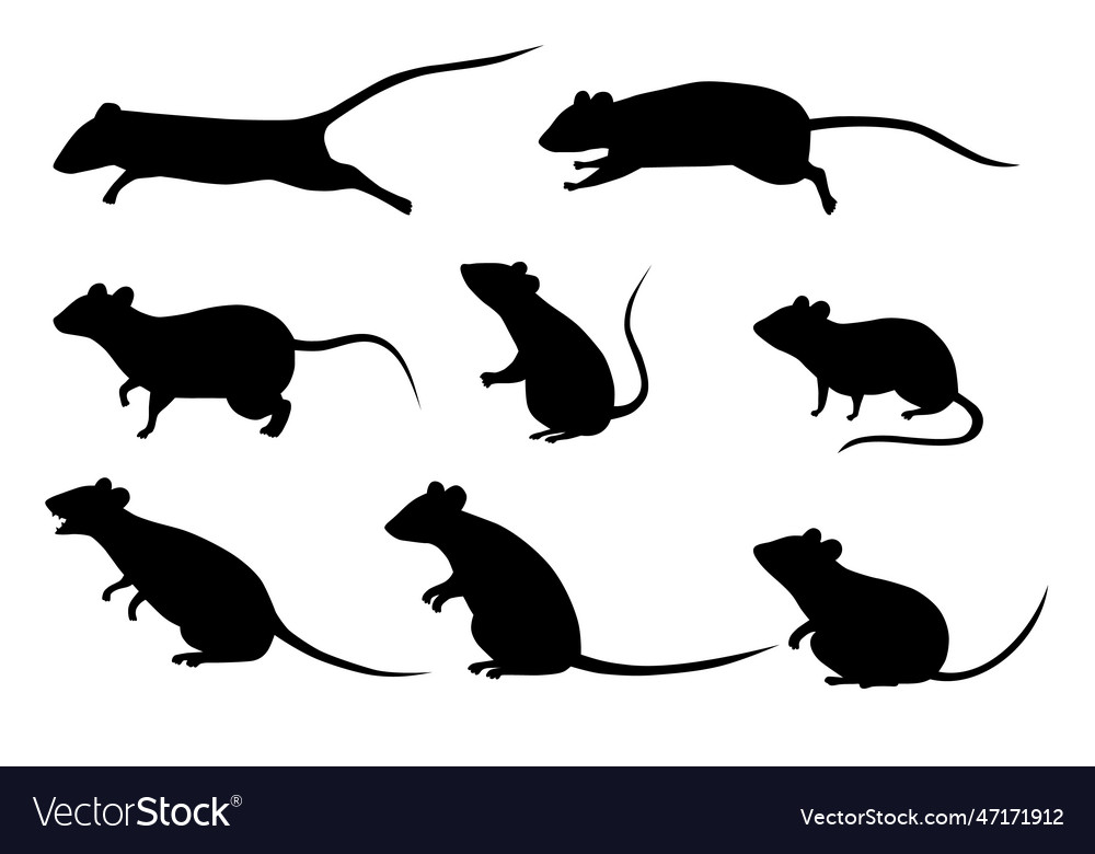 Black silhouette rat collection set isolated Vector Image