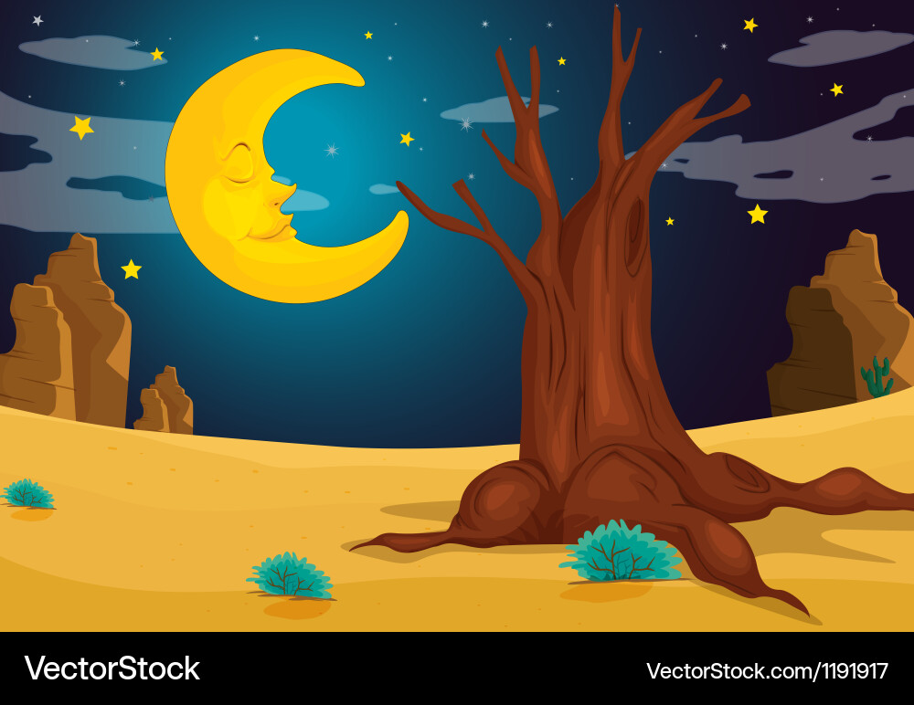A moonlight evening Royalty Free Vector Image - VectorStock
