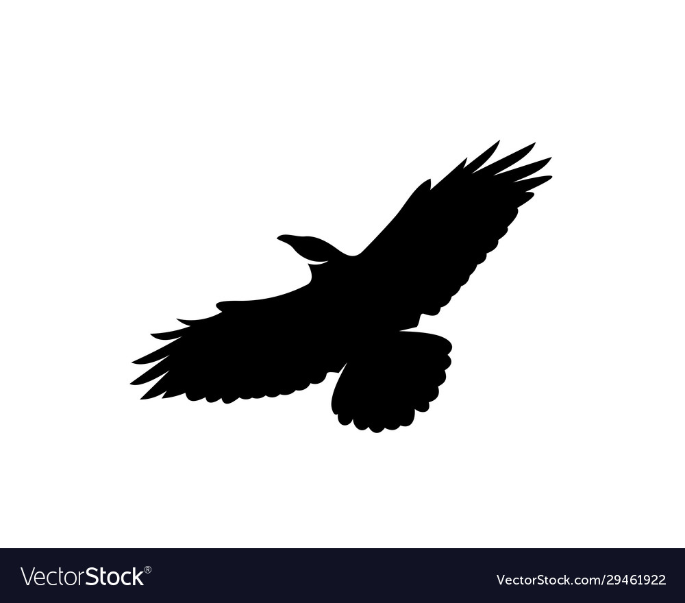 Raven bird logo template black silhouette Vector Image