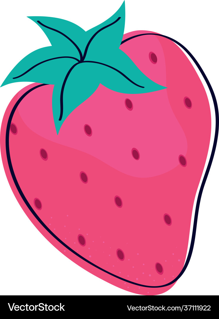 Strawberry tropical fruit Royalty Free Vector Image