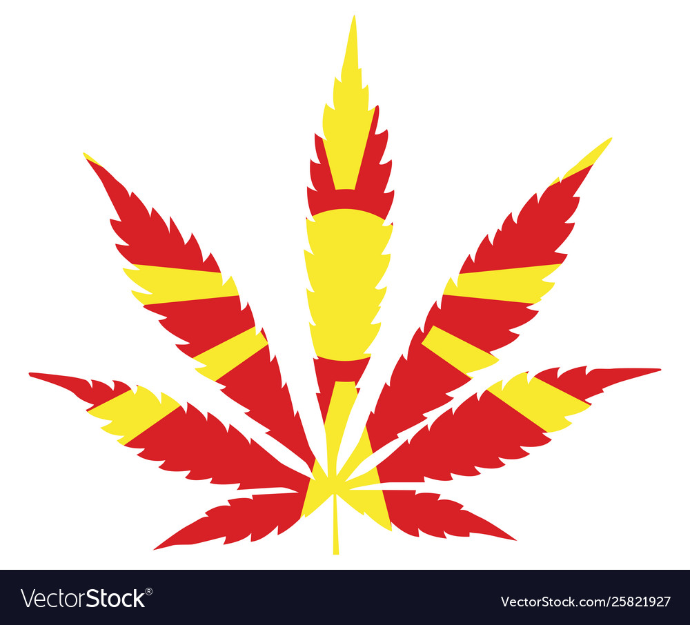 Cannabis leaf flag the concept legalization Vector Image