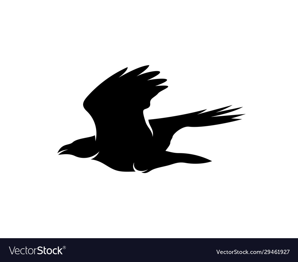 Raven bird logo template black silhouette Vector Image