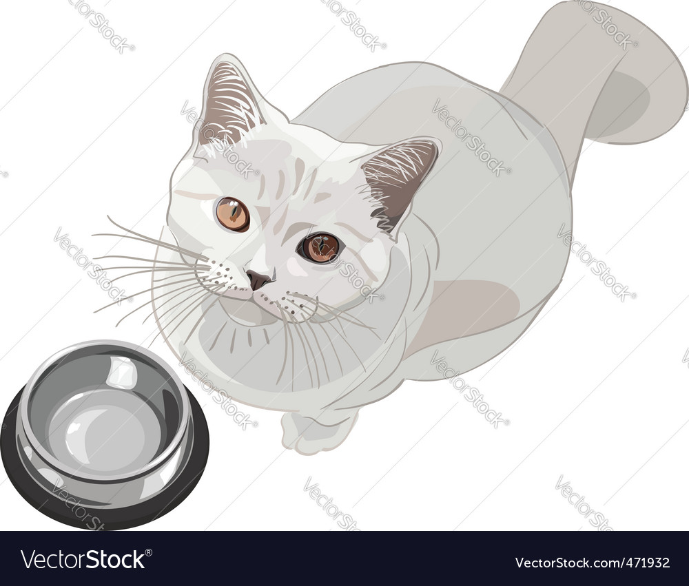 Cat Royalty Free Vector Image Vectorstock