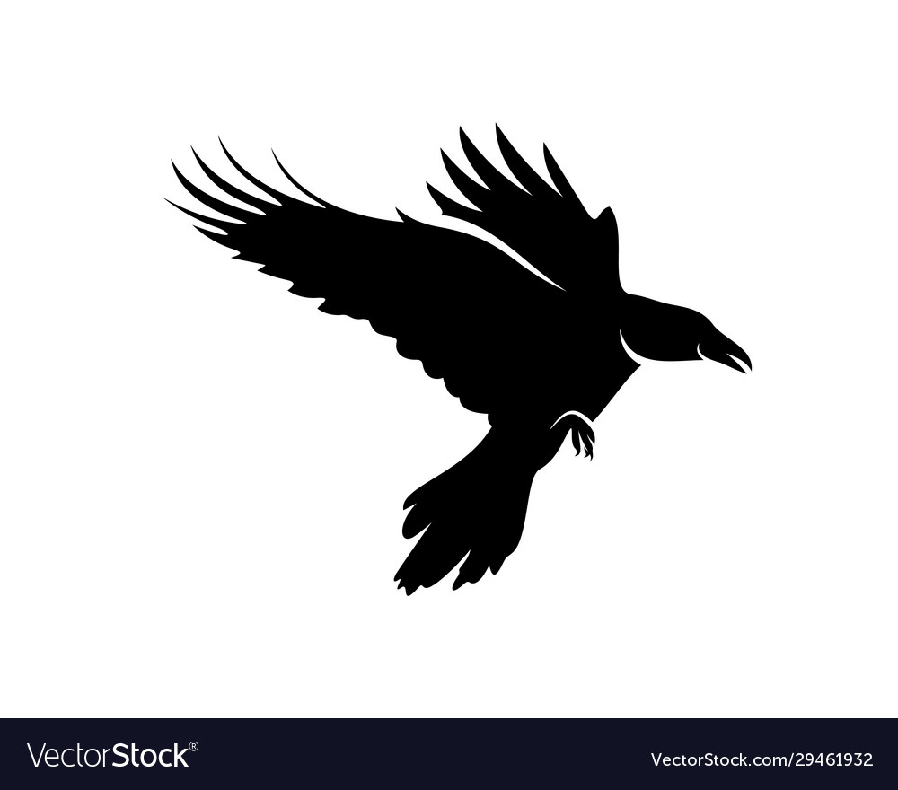 Raven bird logo template black silhouette Vector Image