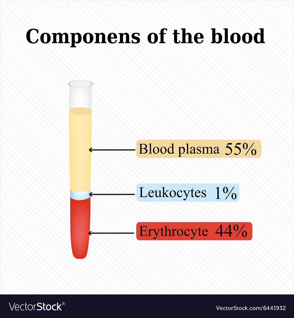 The Components In Blood Infographics Royalty Free Vector