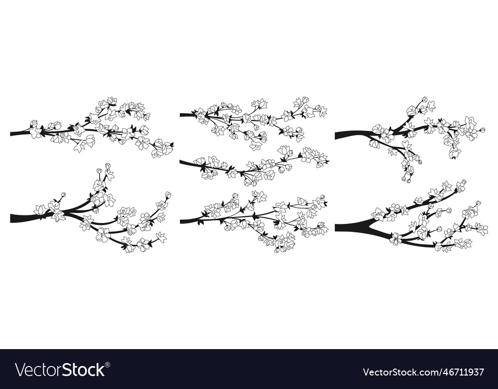 Cherry blossom outline sakura twigs flowers Vector Image