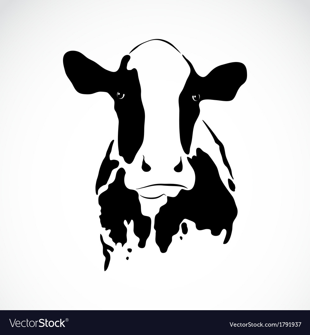 Cow Royalty Free Vector Image - VectorStock