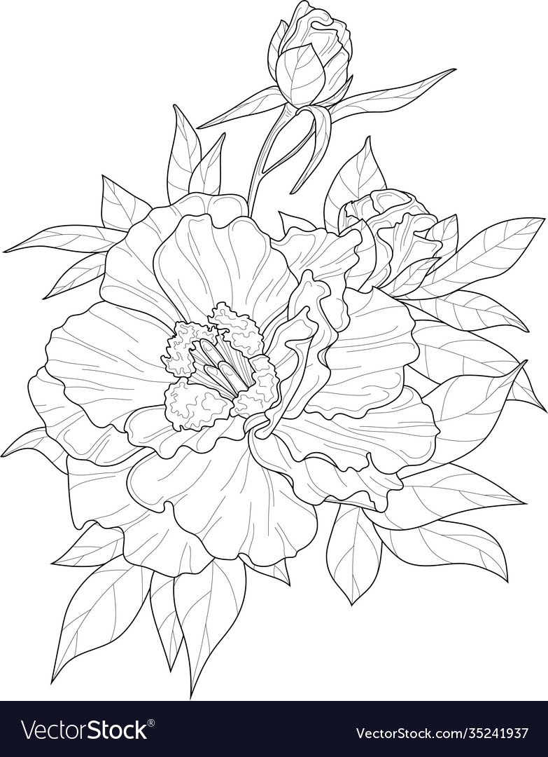 realistic flower sketch