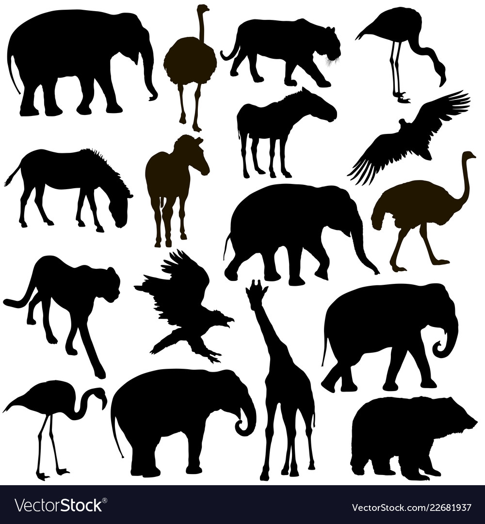 Silhouette elephant tiger bear giraffe flamingo Vector Image