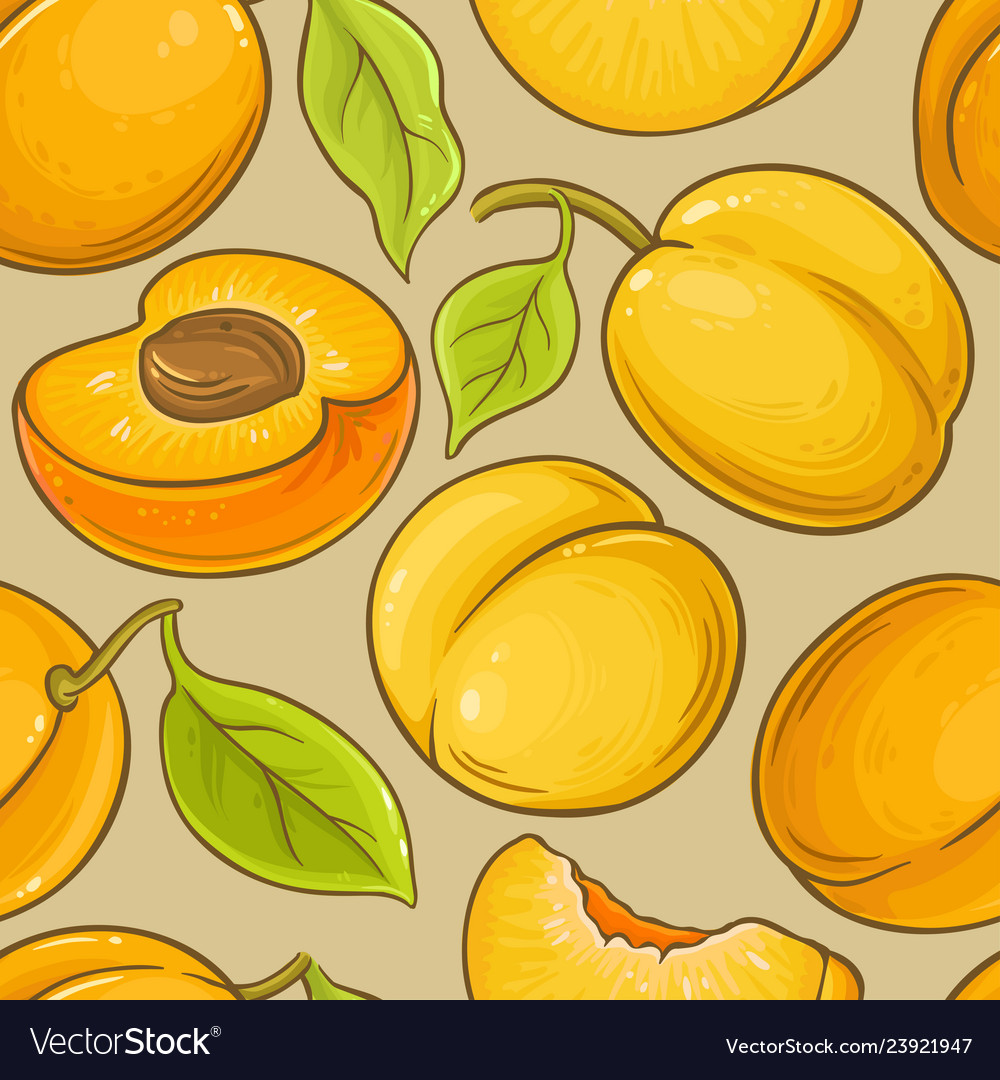 Apricot fruit pattern on color background Vector Image