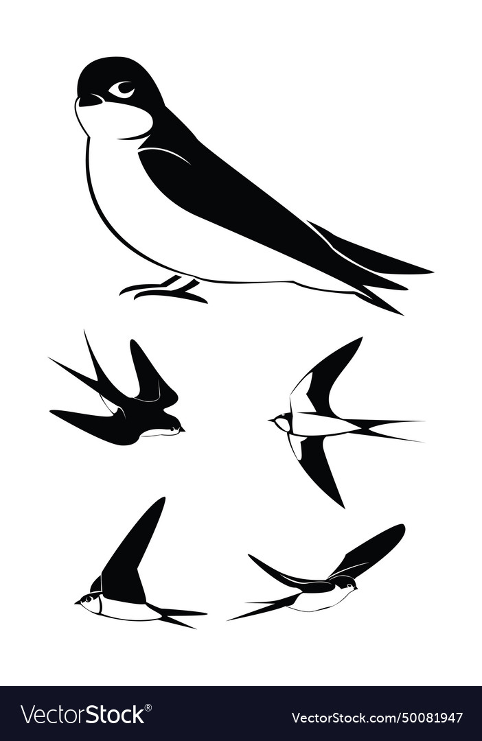 Black and white Royalty Free Vector Image - VectorStock