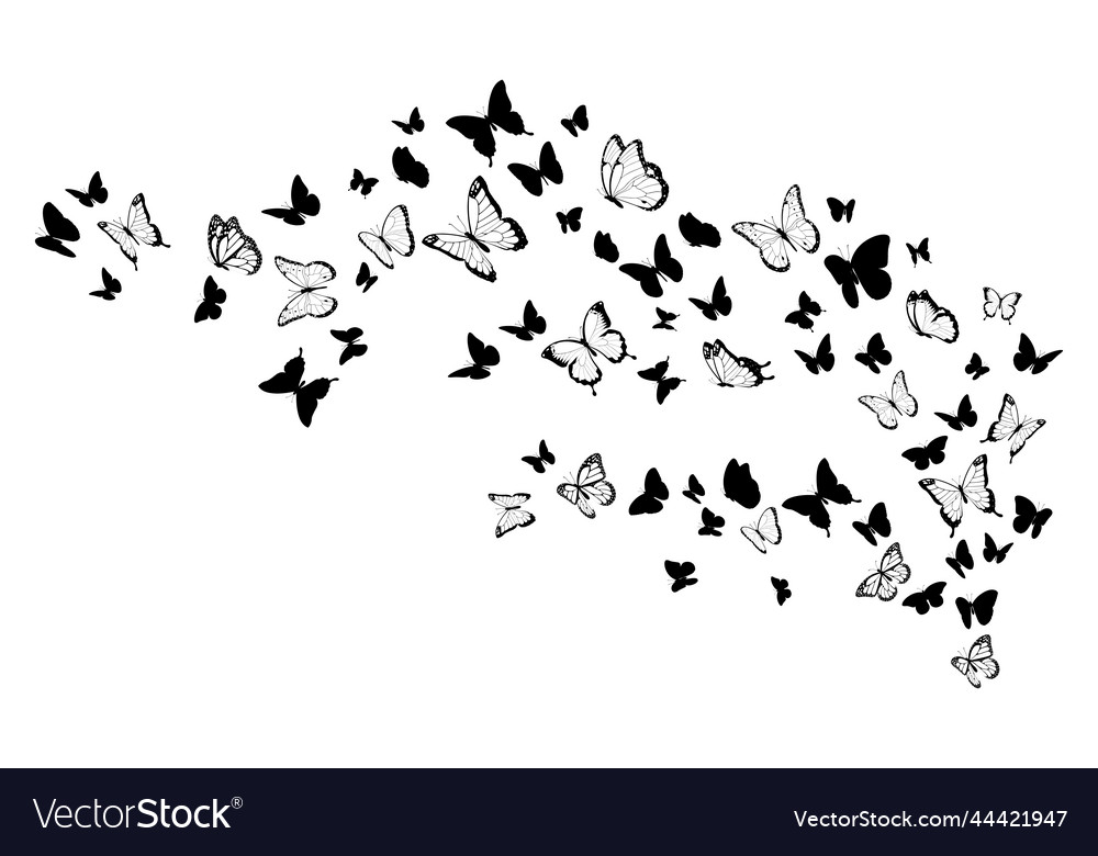 Flying Black Silhouettes Of Butterflies Royalty Free Vector